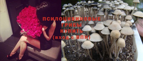 кокаин колумбия Алзамай