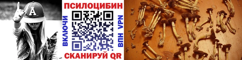 где купить наркоту  Ардатов  Галлюциногенные грибы прущие грибы 